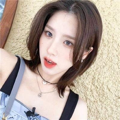 蠢蛋进化论